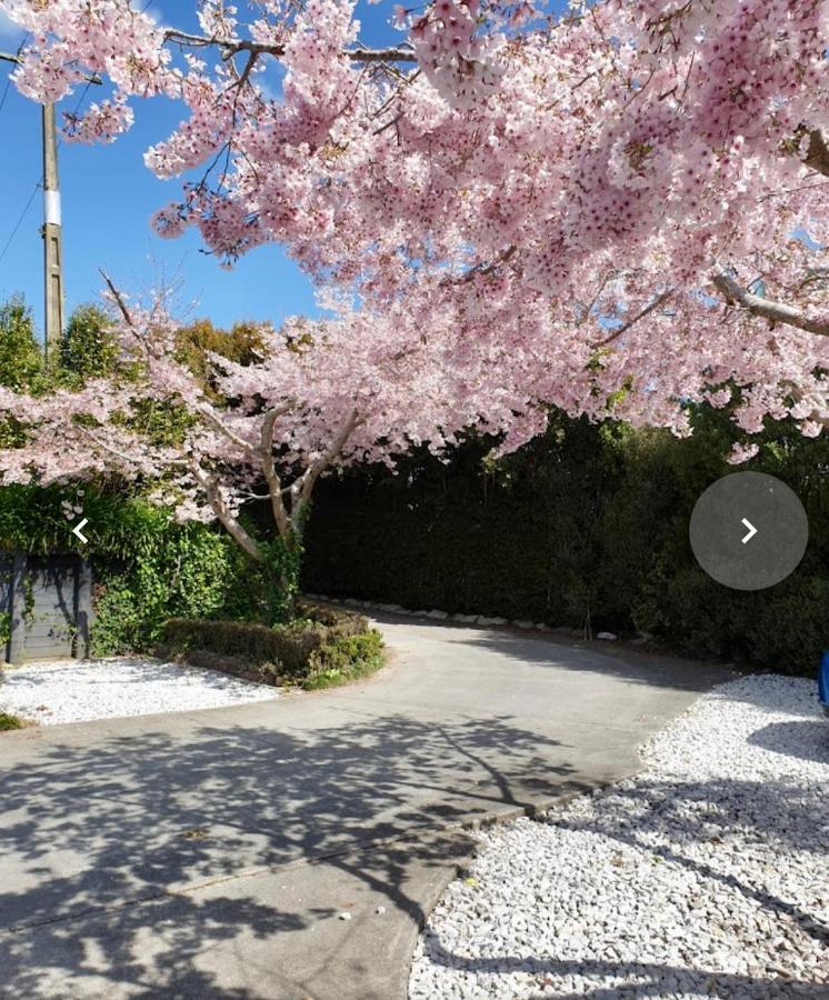 Waitomo Orchard Estate B&B Otorohanga Exterior photo