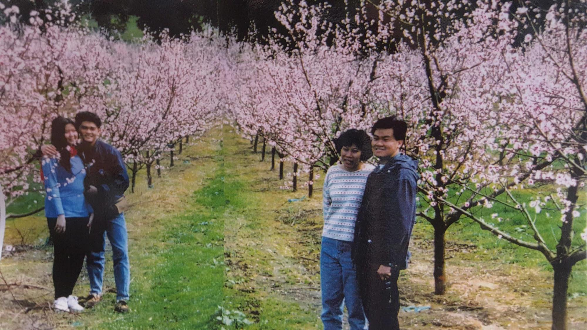 Waitomo Orchard Estate B&B Otorohanga Exterior photo